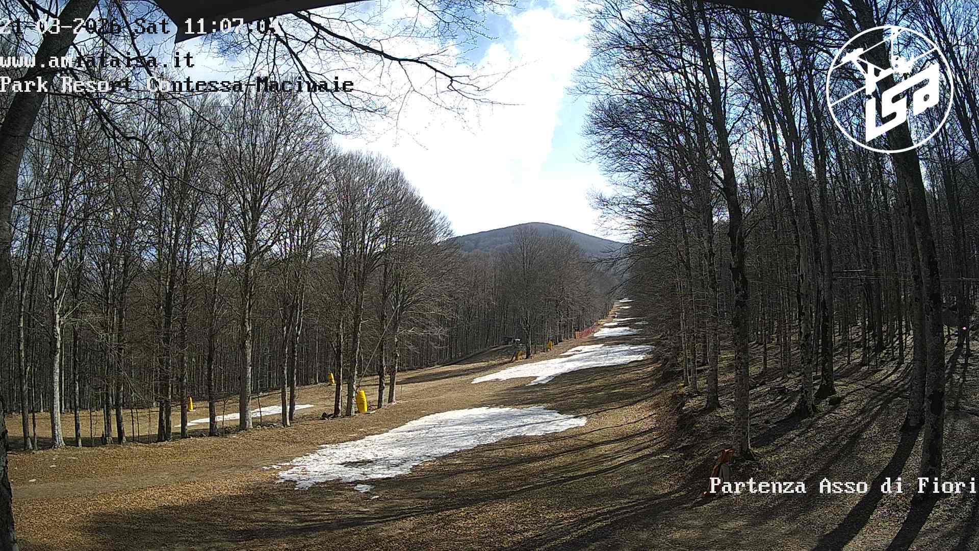 immagine della webcam nei dintorni di Castel del Piano: webcam Monte Amiata