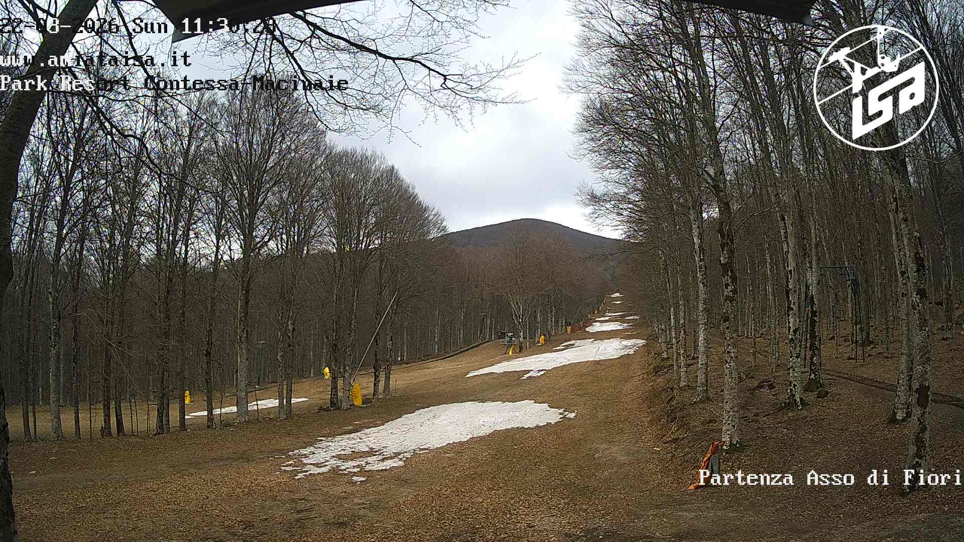immagine della webcam nei dintorni di Scansano: webcam Castel del Piano