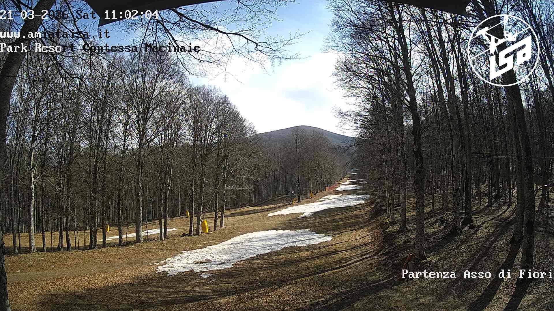 immagine della webcam nei dintorni di Scansano: webcam Castel del Piano