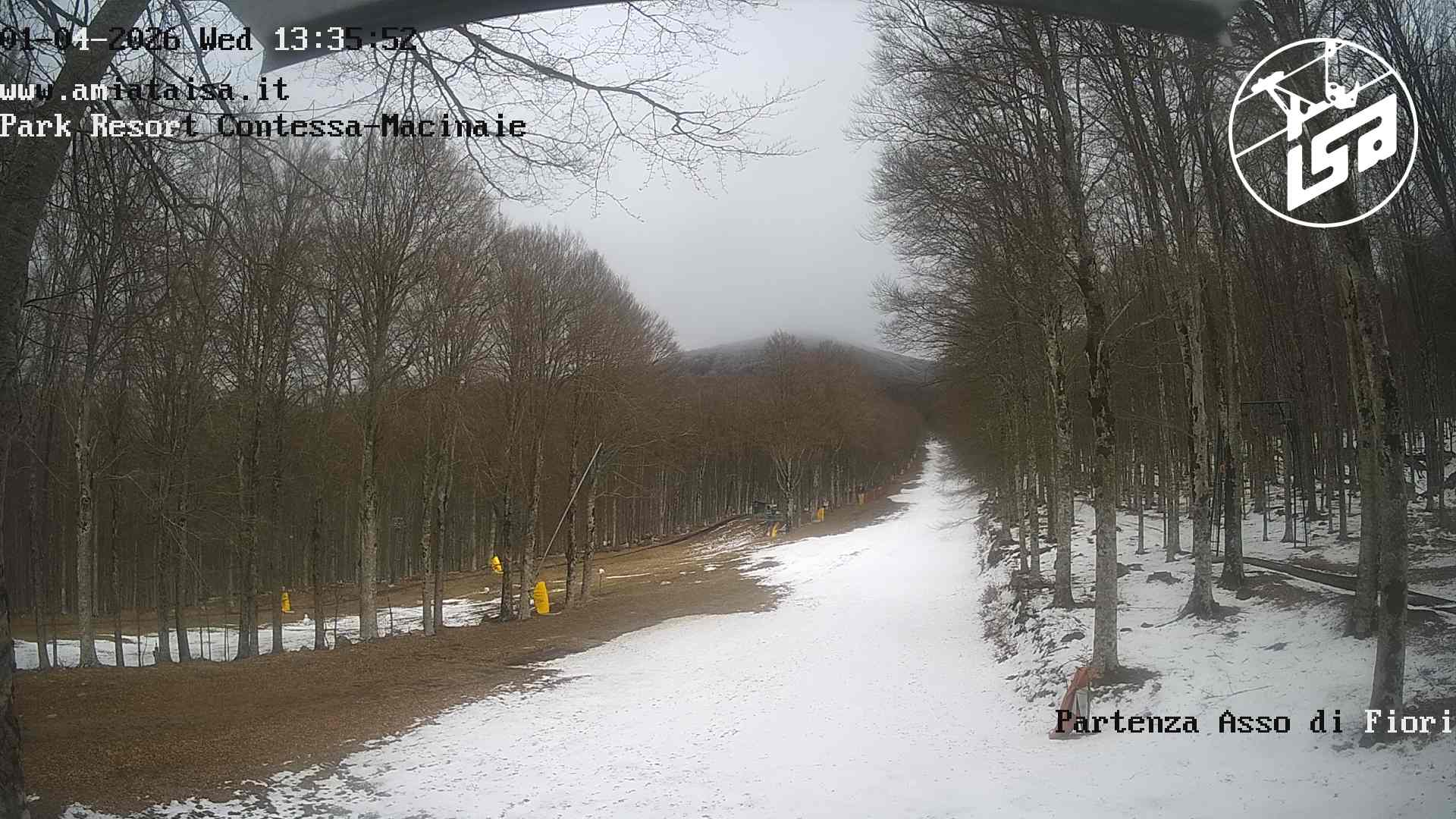 immagine della webcam nei dintorni di Istia D'Ombrone: webcam Castel del Piano