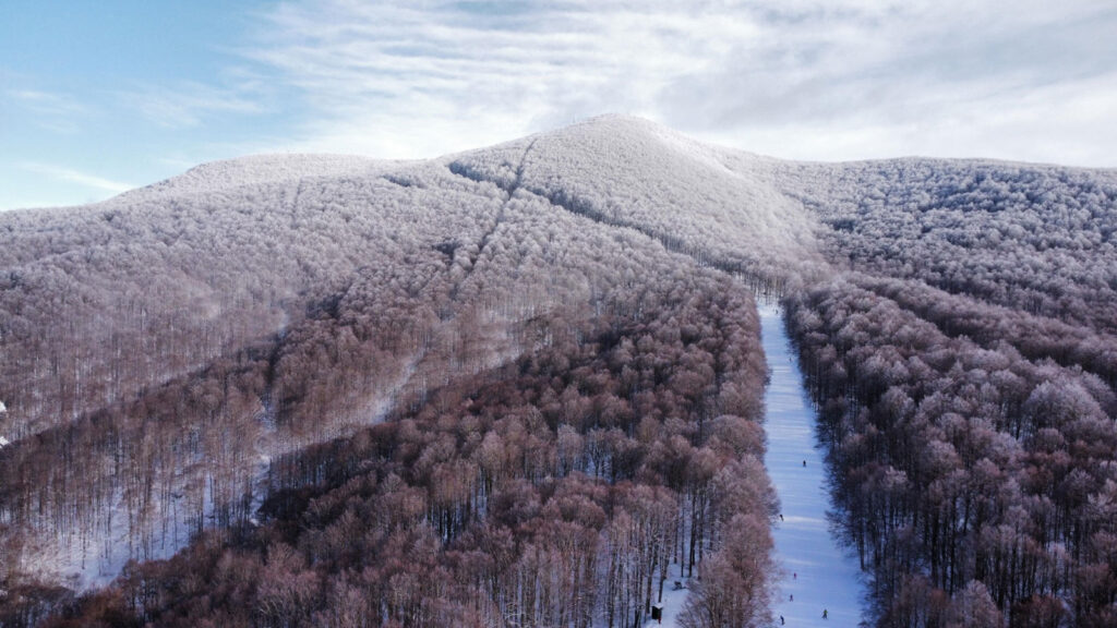 Comunicato del 10 gennaio 2026