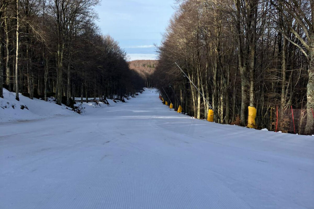 Comunicato del 16 gennaio 2026