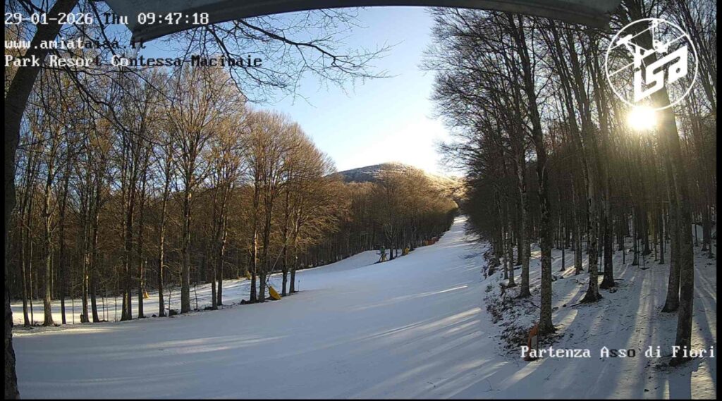 Comunicato del 29 gennaio 2026