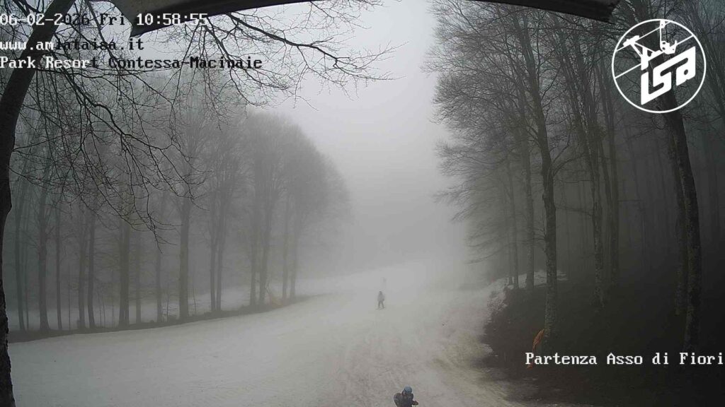 Comunicato del 6 febbraio 2026