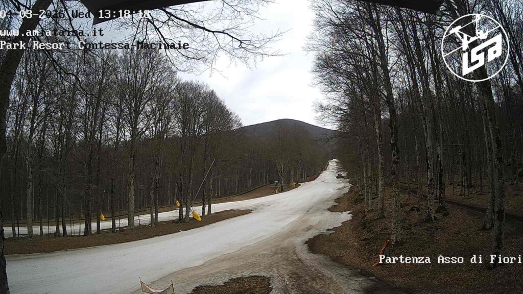 Comunicato del 4 marzo 2026